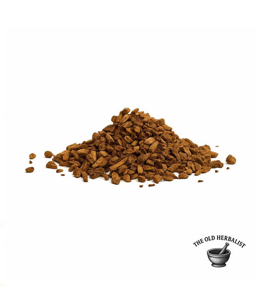 Sweet Fern Root – Polypodium vulgare