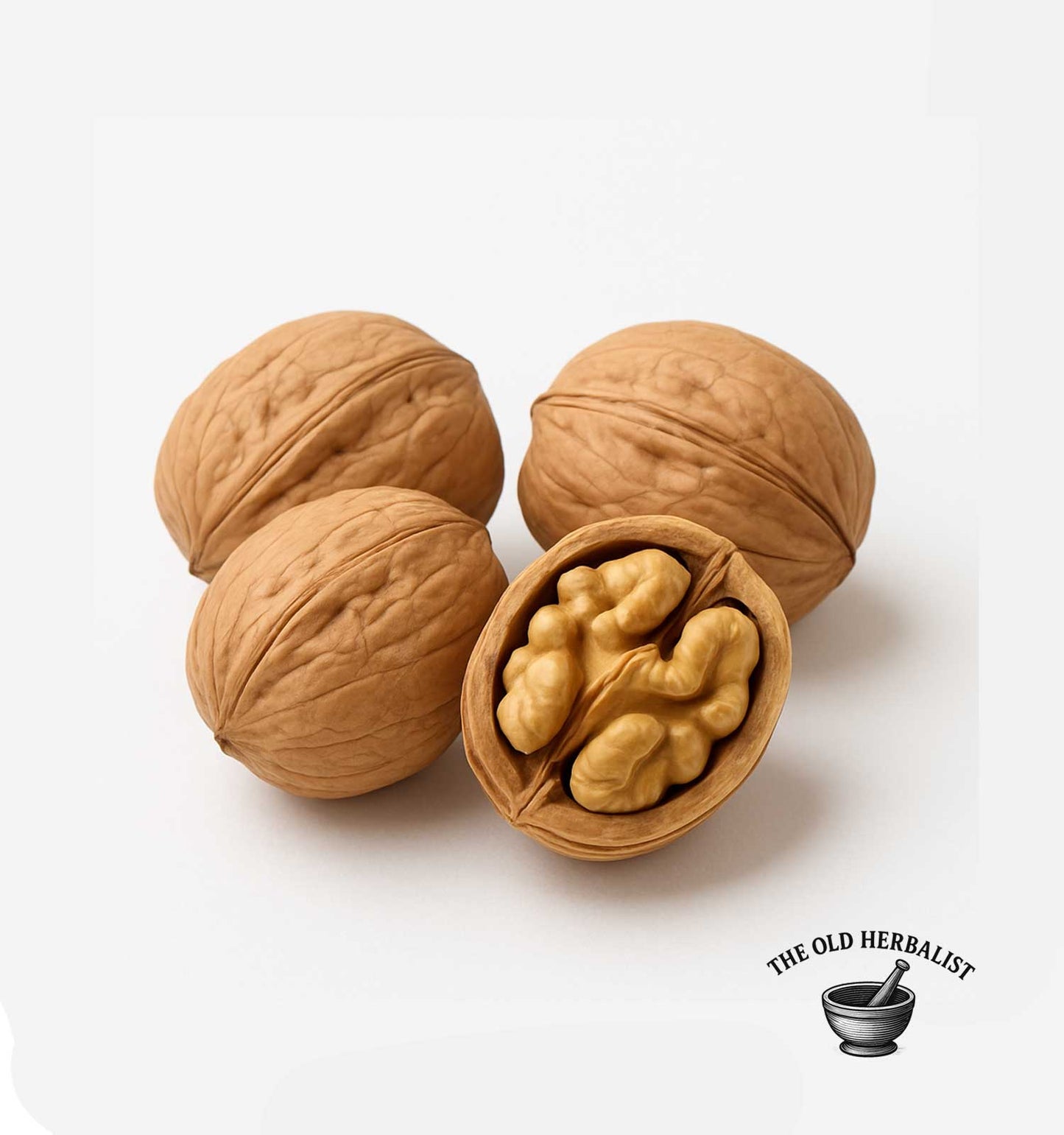 Walnut Hull – Juglans regia