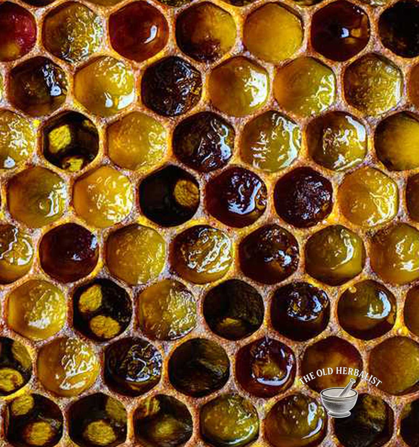 Close-up of honeycomb with honey in hexagonal cells, featuring 'The Old Herbals' logo.