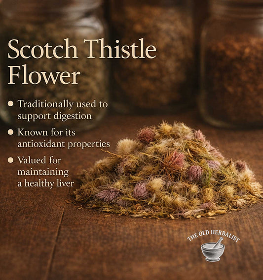 Scotch Thistle Flower with text on a wooden background, featuring jars in the background.