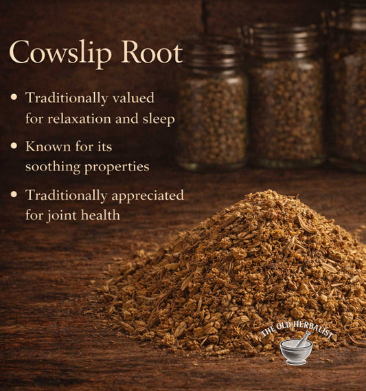 Cowslip root on a wooden surface with text about its traditional uses.