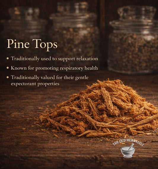 Pine tops with text about their traditional uses on a wooden surface, featuring The Old Herbalist brand.