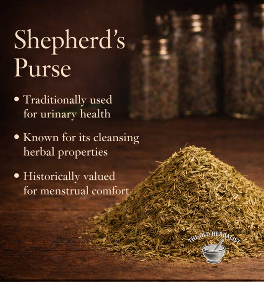 Herbal remedy with text about Shepherd's Purse on a wooden surface