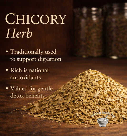 Chicory herb on a wooden surface with text about its uses.