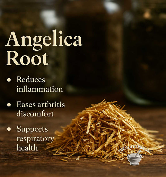 Angelica root with health benefits text on a wooden surface