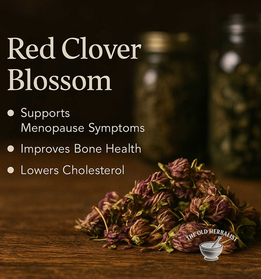 Red clover blossoms with health benefits text on a wooden surface, featuring 'The Old Herbalist' brand.