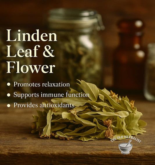 Linden blossoms and leaves for traditional herbal infusion.