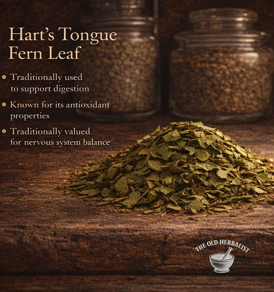 Hart's Tongue Fern Leaf on a wooden surface with text about its uses and The Old Herbalist logo.