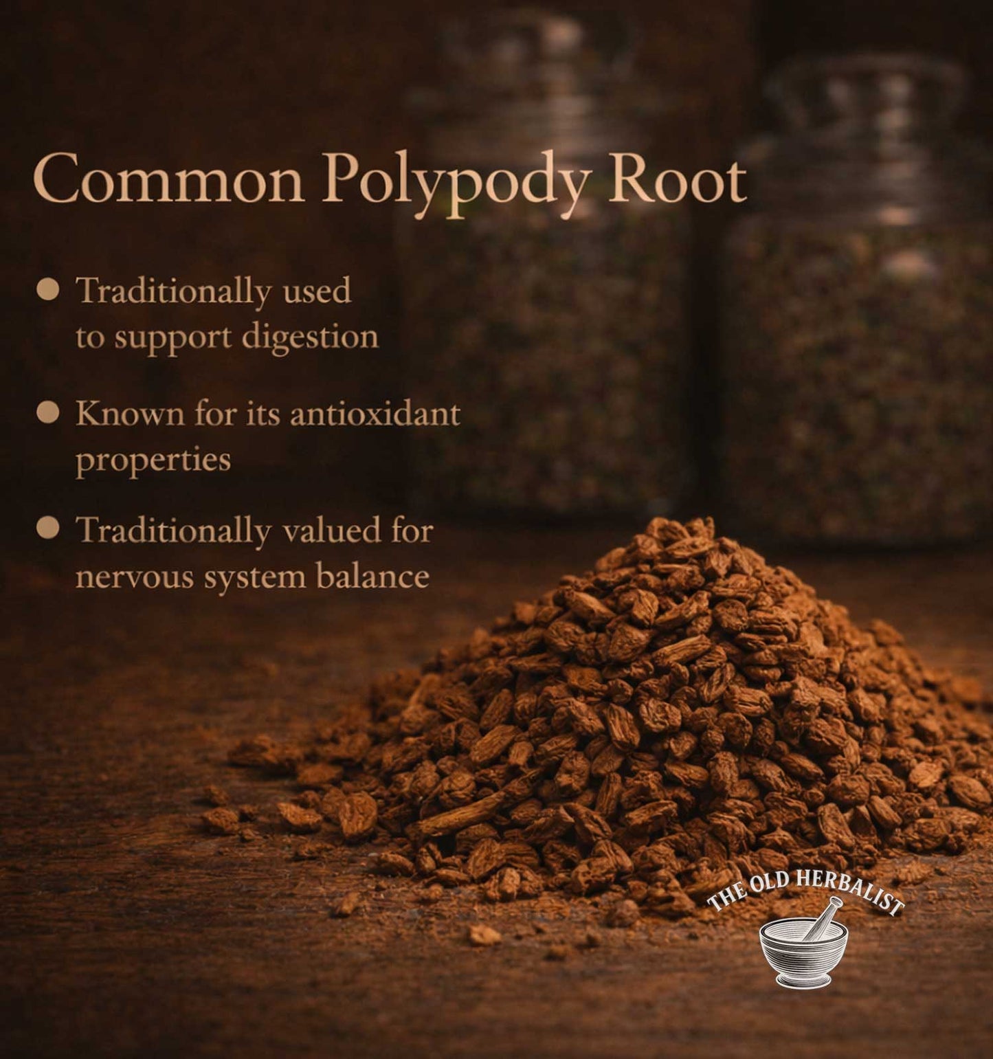 Sweet Fern Root – Polypodium vulgare