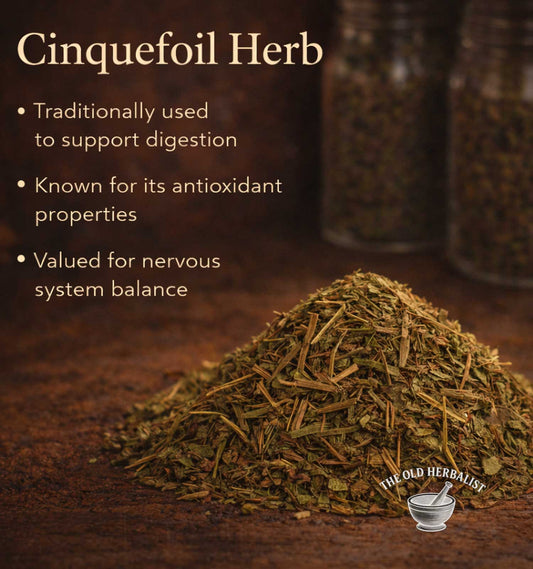 Cinquefoil herb with text about its uses on a dark background, featuring 'The Old Herbalist' logo.