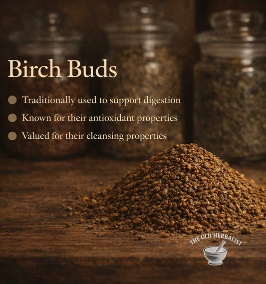 Whole white birch buds for traditional herbal use.