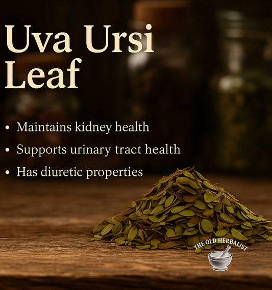 Uva Ursi leaf on a wooden surface with text about its health benefits and branding.