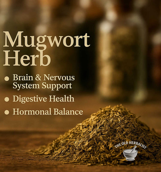mugwort herb for herbal tea and culinary use