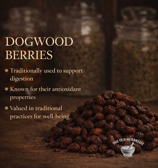 Dogwood berries with text about their uses and a blurred background of jars.