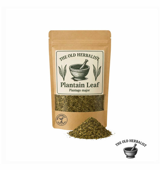 Dried ribwort plantain leaf in kraft pouch – herbal ingredient.
