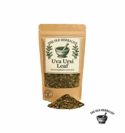 Dried uva ursi leaves in kraft pouch – herbal ingredient.