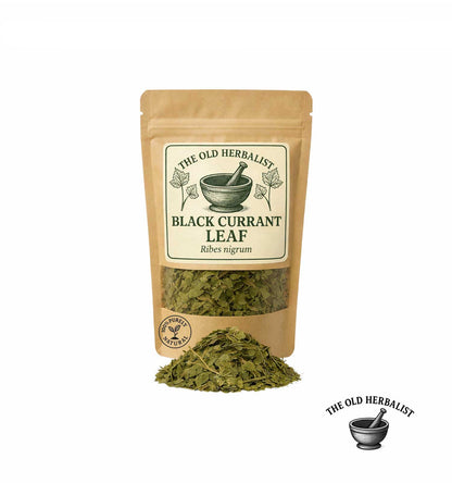 Dried black currant leaves in kraft pouch – herbal tea ingredient.

