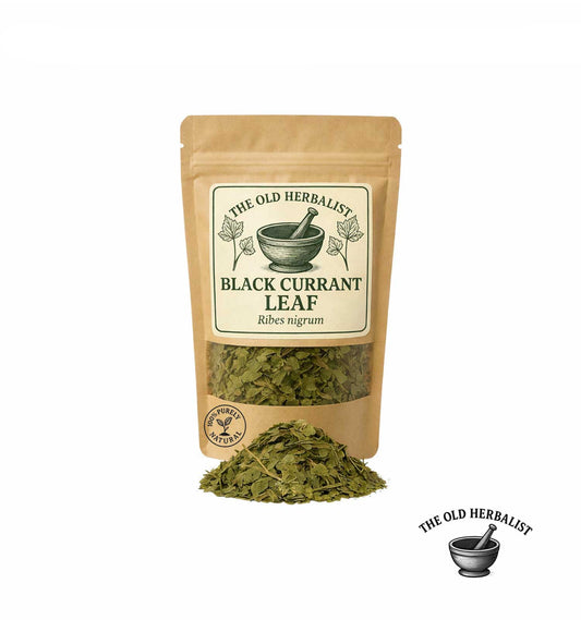 Dried black currant leaves in kraft pouch – herbal tea ingredient.


