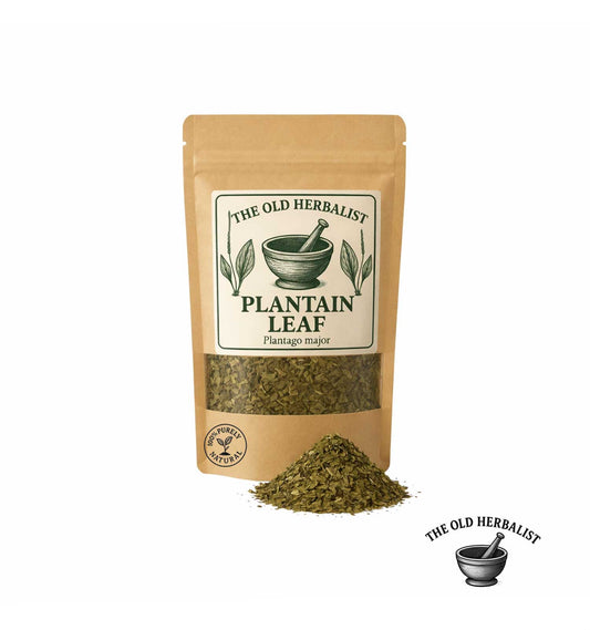 Dried plantain leaf in kraft pouch – herbal ingredient.
