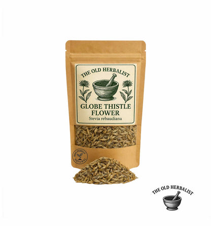 Dried globe thistle fruits in kraft pouch – herbal ingredient.
