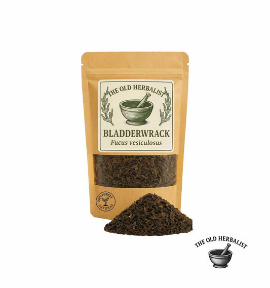 Dried bladderwrack seaweed in kraft pouch – herbal ingredient.
