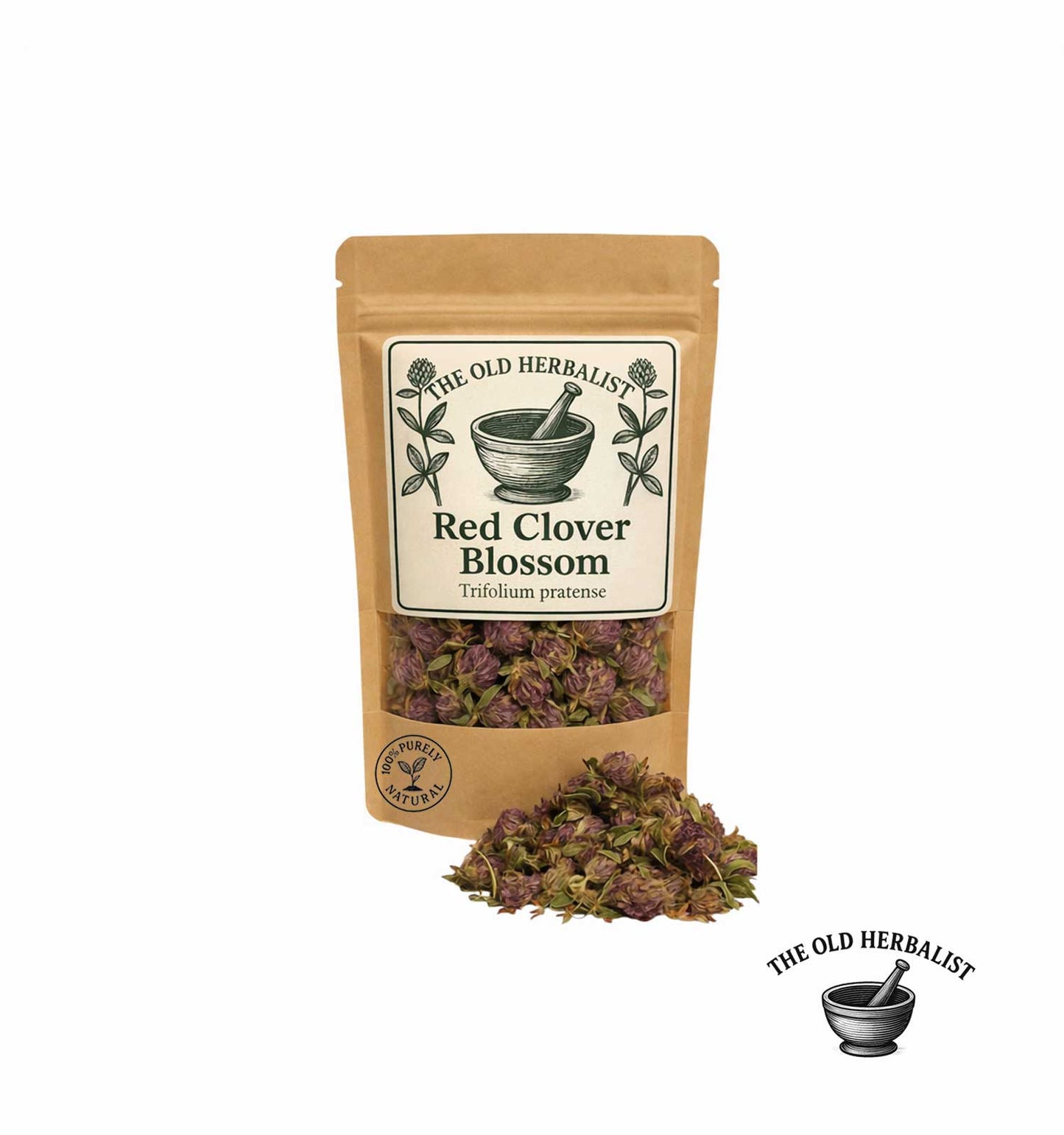 Red Clover Blossom – Trifolium pratense