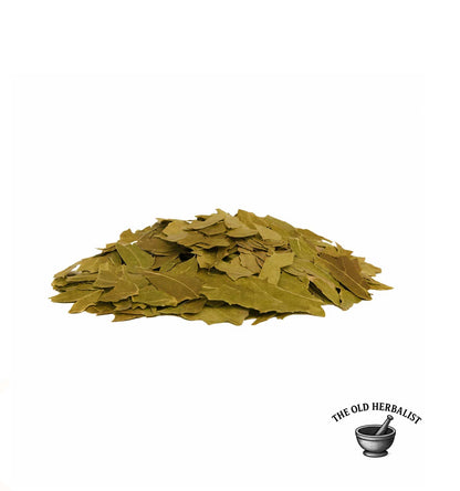 Neem leaf pile for herbal tea and traditional wellness