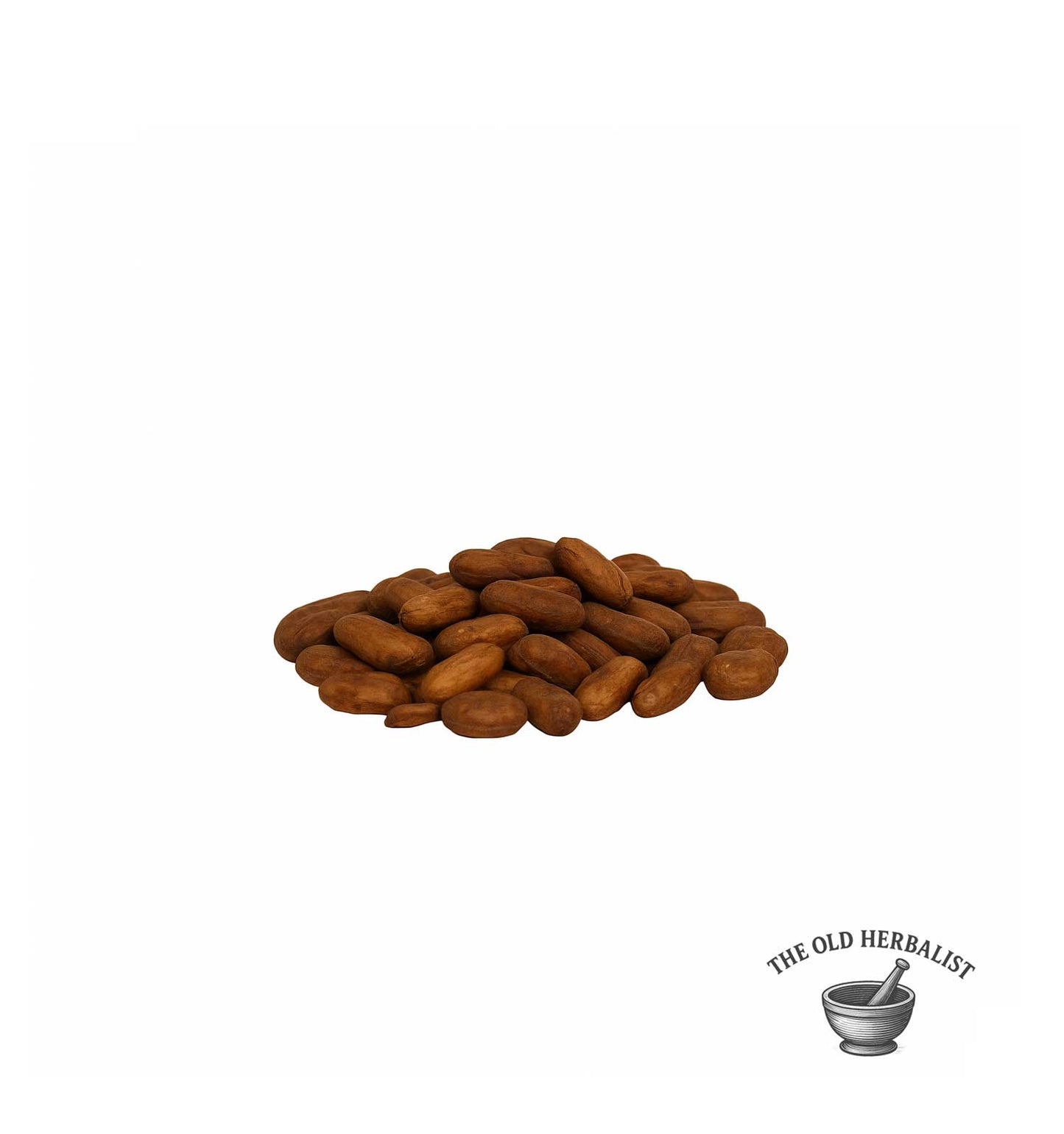 pile of raw cacao beans