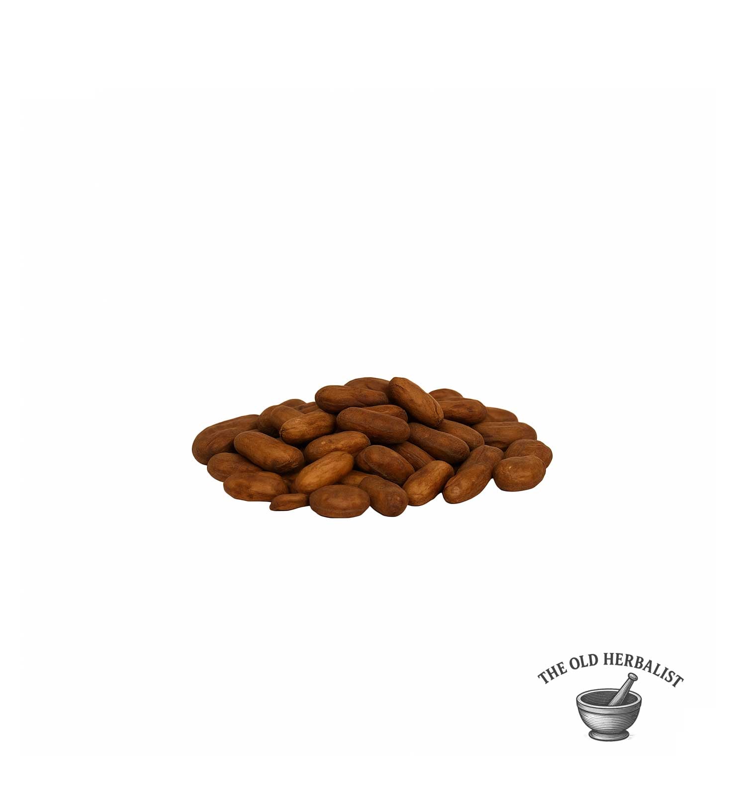 pile of raw cacao beans