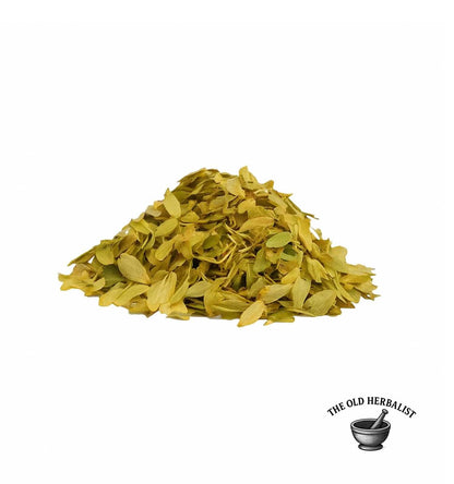 Loose hops flowers with green-golden color for tea and brewing.