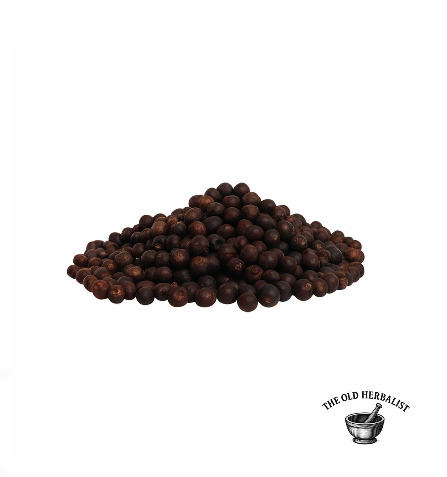 Juniper berries close-up with pine needles – aromatic botanical ingredient.