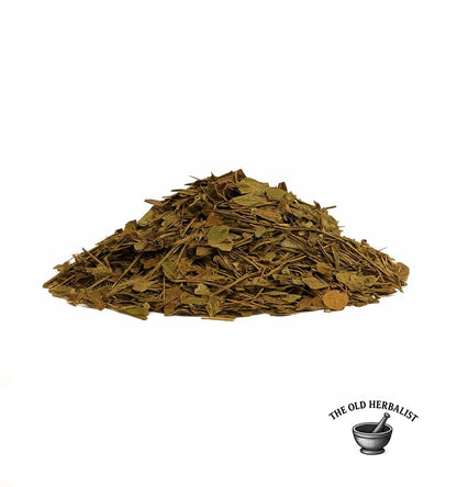 Loose bilberry leaves close-up – Vaccinium myrtillus leaf.