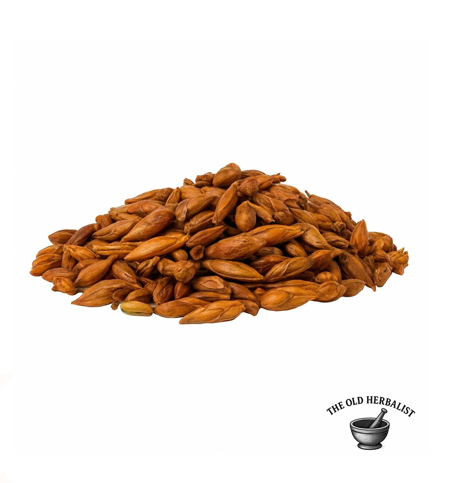 Whole Populus alba buds with natural resin aroma.