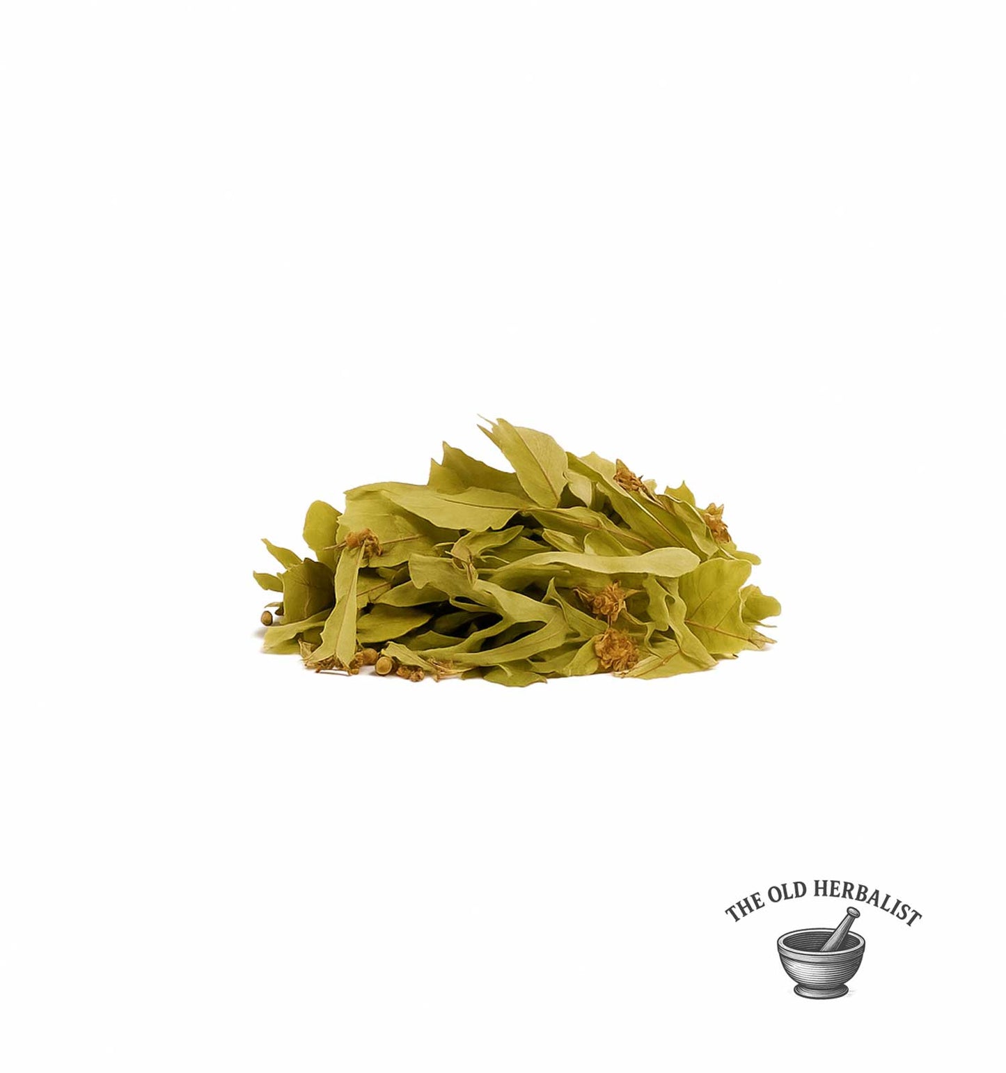 Linden blossoms and leaves for traditional herbal infusion.