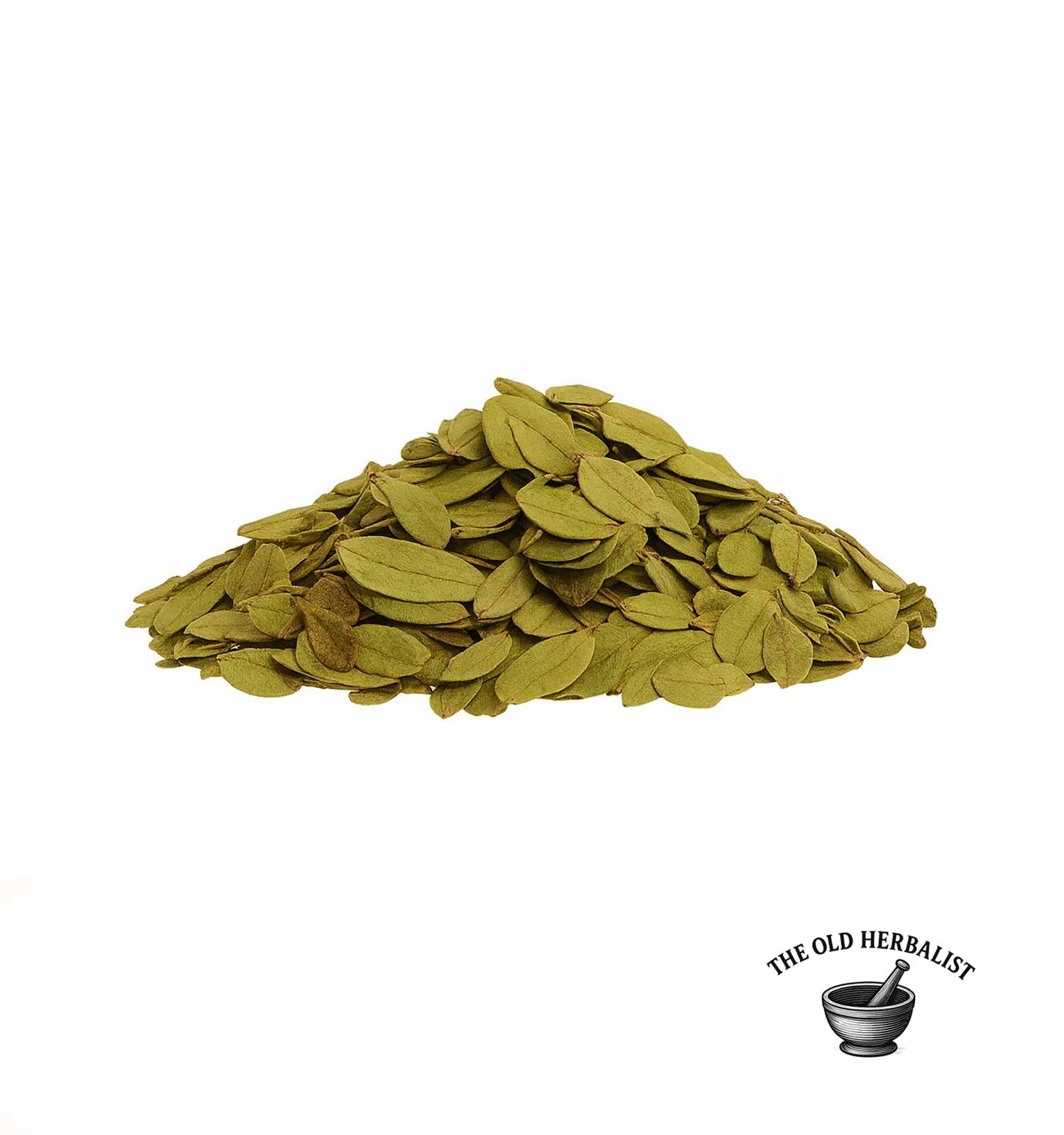 Natural lingonberry leaves for traditional herbal infusions.