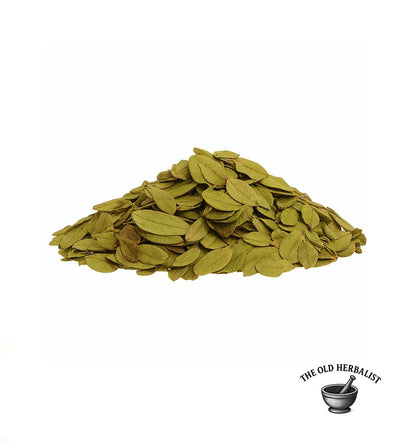 Natural lingonberry leaves for traditional herbal infusions.