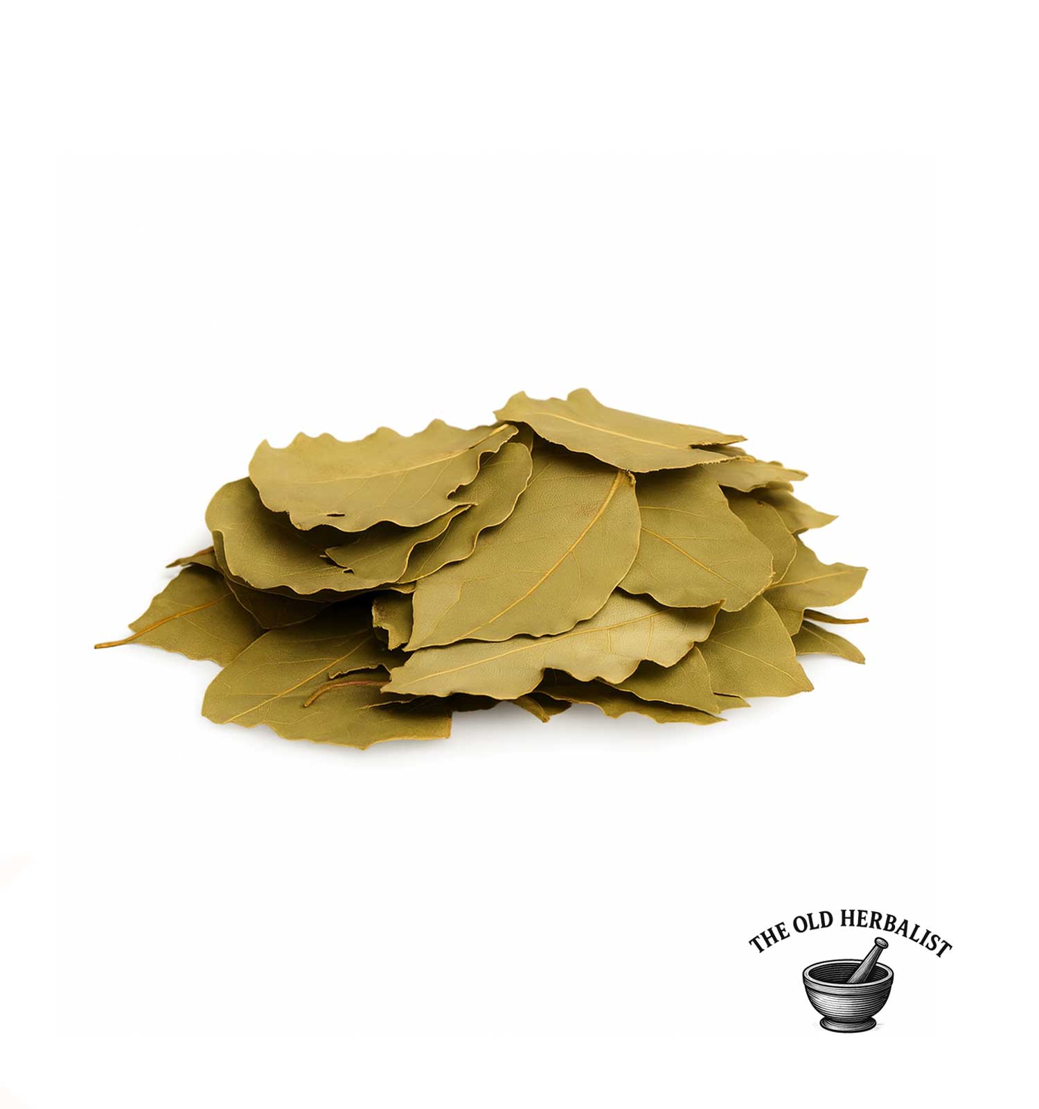 Natural bay leaves for cooking and herbal infusion.