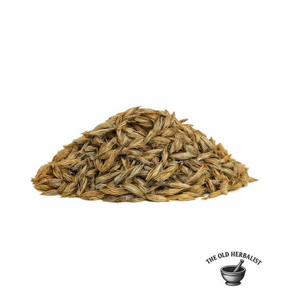 Whole Echinops ritro fruits for traditional herbal use.