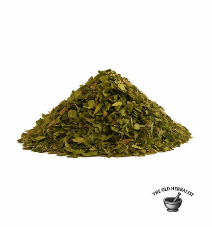 Loose hazel leaves for herbal tea and traditional use.