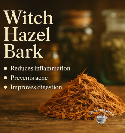 Loose witch hazel bark pieces for traditional herbal use.