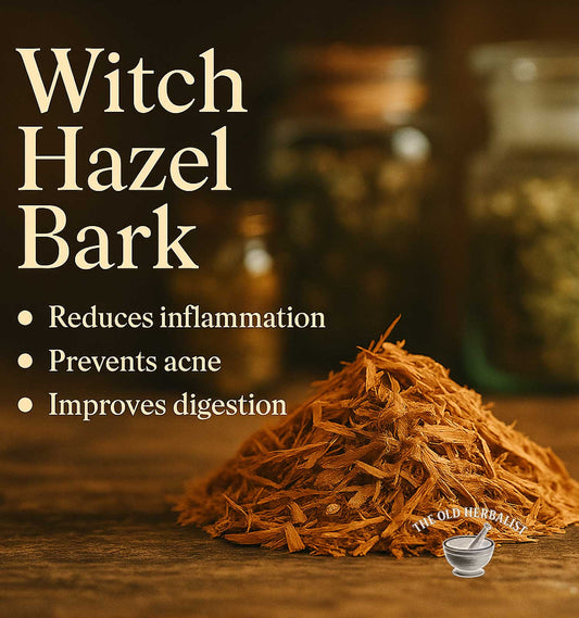 Loose witch hazel bark pieces for traditional herbal use.