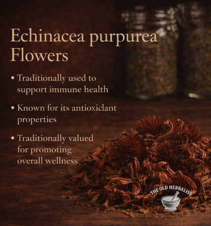 Echinacea purpurea flowers with text about their uses on a dark background, featuring The Old Herbalist logo.