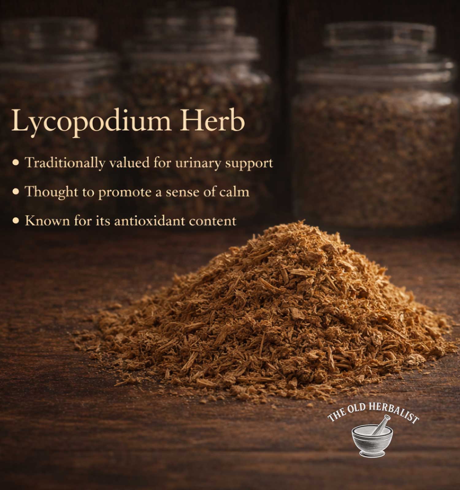 Lycopodium herb on a wooden surface with text about its uses and The Old Herbalist branding.