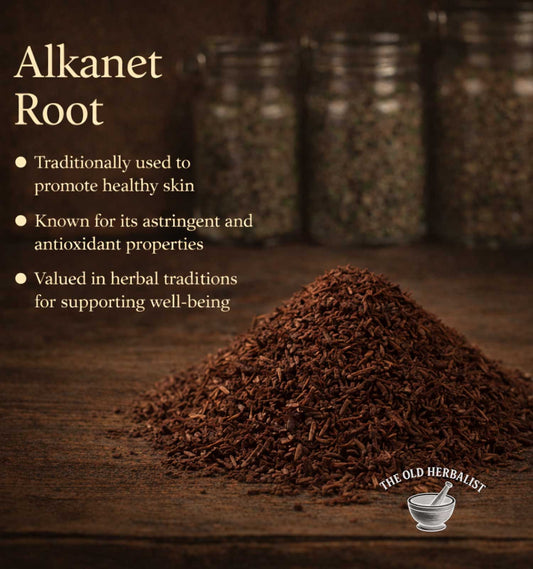 Alkanet root with text about its uses on a wooden surface, branded 'The Old Herbalist'.