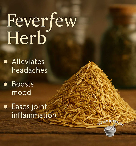 pile of Dried feverfew herb