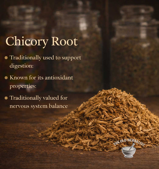 Chicory root with text about its uses on a wooden surface, blurred jars in the background.