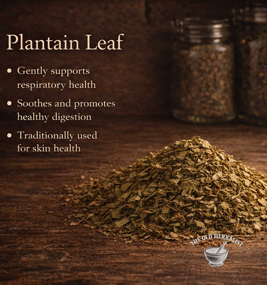 Dried plantain leaves on a wooden surface with text about their health benefits and a brand logo.