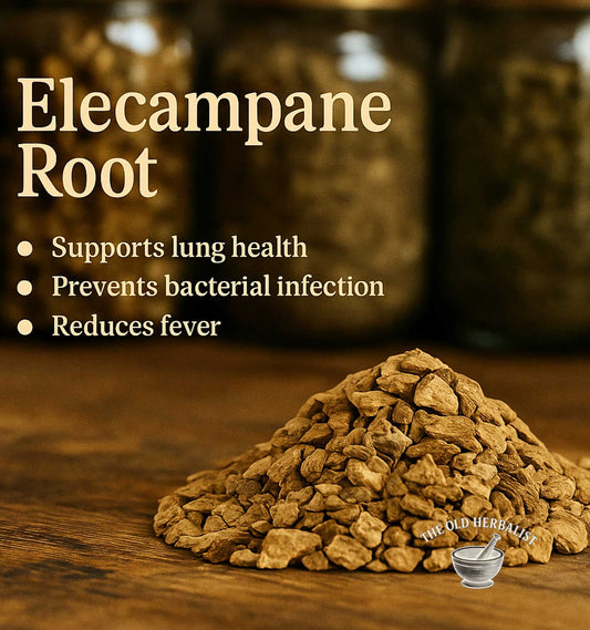 Elecampane root for traditional herbal tea and wellness use.
