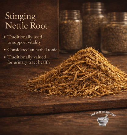 Stinging Nettle Root on a wooden surface with text about its uses and The Old Herbalist branding.