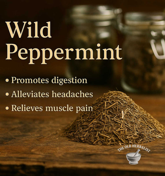 Wild Peppermint – Mentha piperita